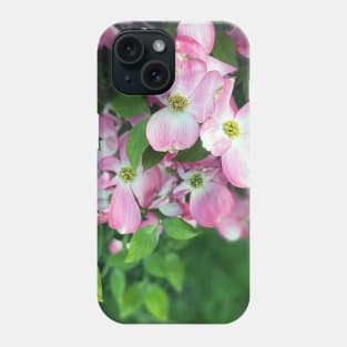 Dogwood Flowers in Spring Phone Case