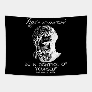 Be in control of yourself and live like a Greek ,apparel hoodie sticker coffee mug gift for everyone Tapestry