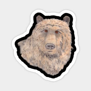 A Bear Portrait Magnet