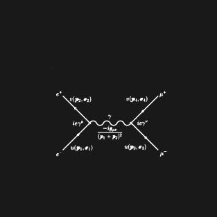 feynman diagram, quantum electrodynamics, electron positron scattering T-Shirt