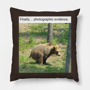 Do Bears Shit In The Woods? Pillow