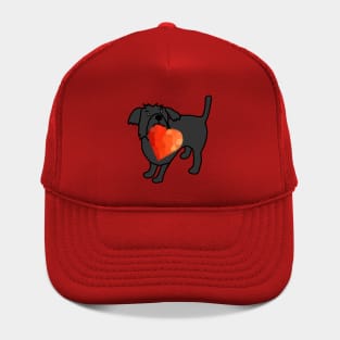 Cute Valentines Day Dog with Red Heart Hat