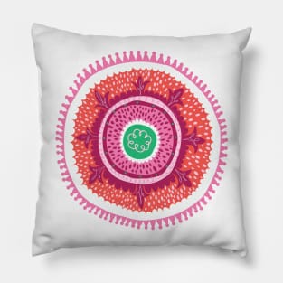 Suzani Pillow