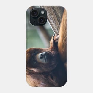 monkey - portrait Phone Case