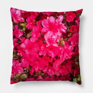Bright Pink Flowers - Vectorized Photographic Image Pillow