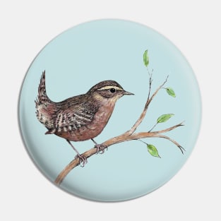 Coloured ink drawing of a wren Pin