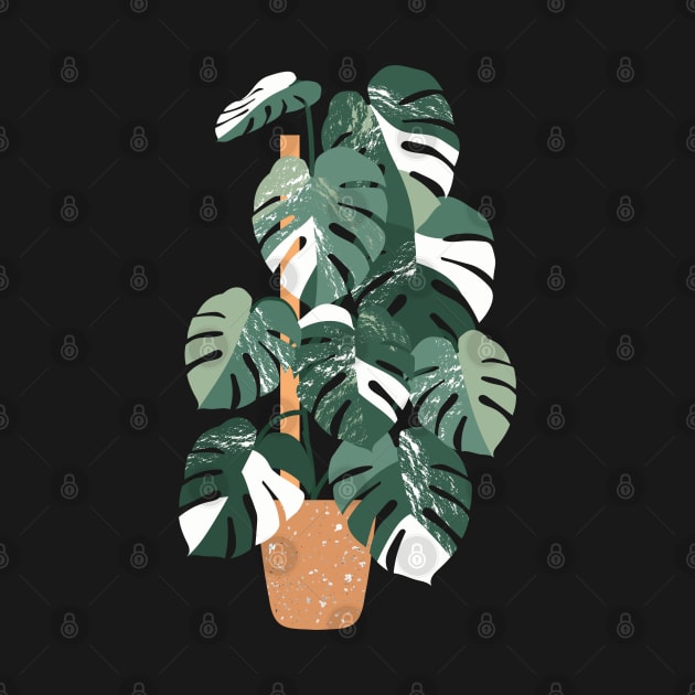 Monstera variegated plant by gronly