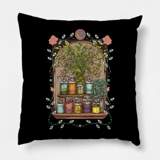 Witches Potions Pillow