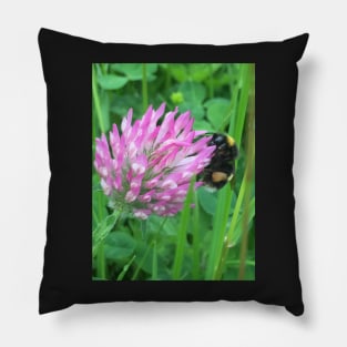 Busy Bumble Bee on a Four Leaf Lucky Clover Pillow