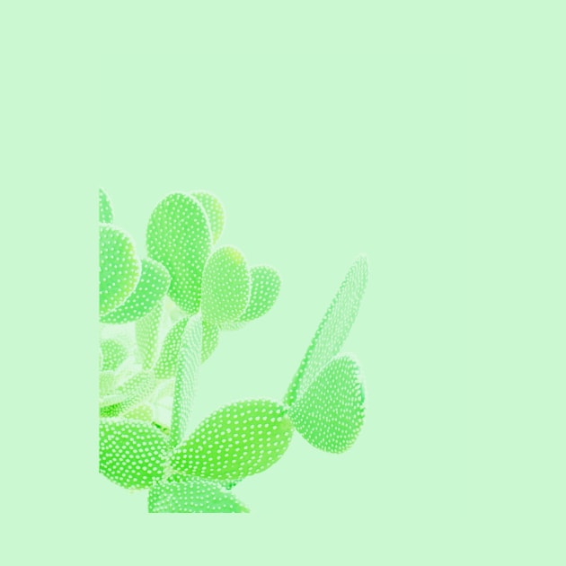 Opuntia Mint by Plantpedia