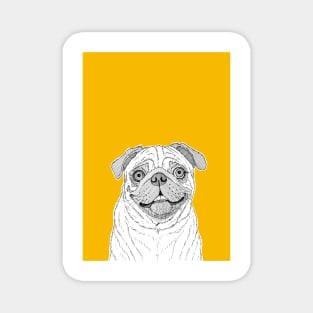 Pug Dog Portrait ( yellow background ) Magnet