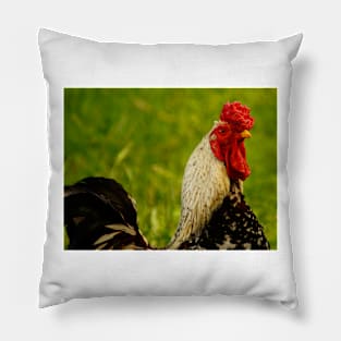 122515 Gallo Pillow