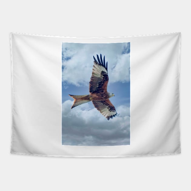 Red Kite Bird of Prey Tapestry by MartynUK