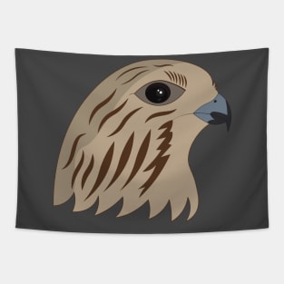 Falcon Tapestry