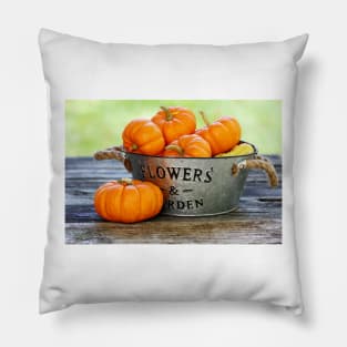 Squashes in a basket Pillow