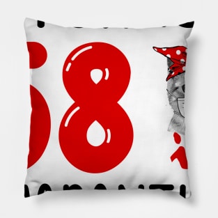 I Turned 58 In Quarantine Funny Cat Facemask Pillow