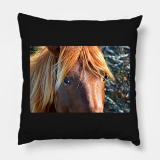 Assateague Pony Eyes Pillow