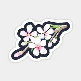 Almond Blossom Magnet