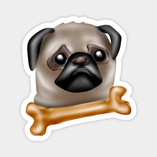 No Bones day for Pug Magnet