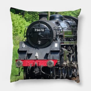 75078 Switch Pillow