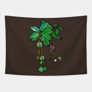 Macadamia Nut Tapestry