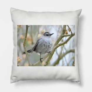 Catbird on Rose of Sharon branch Pillow