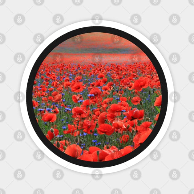 Red Poppies All Around Magnet by KaSaPo