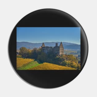 Burkheim, Kaiserstuhl - another view of the castle Pin