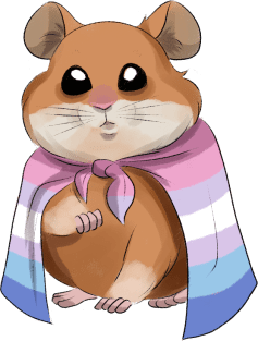 bigender hamster Magnet