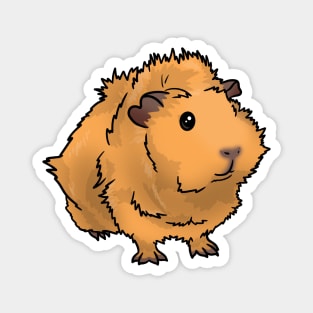 Saffron Gold Abyssinian Guinea Pig Magnet