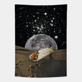 Stars and Desert Tapestry