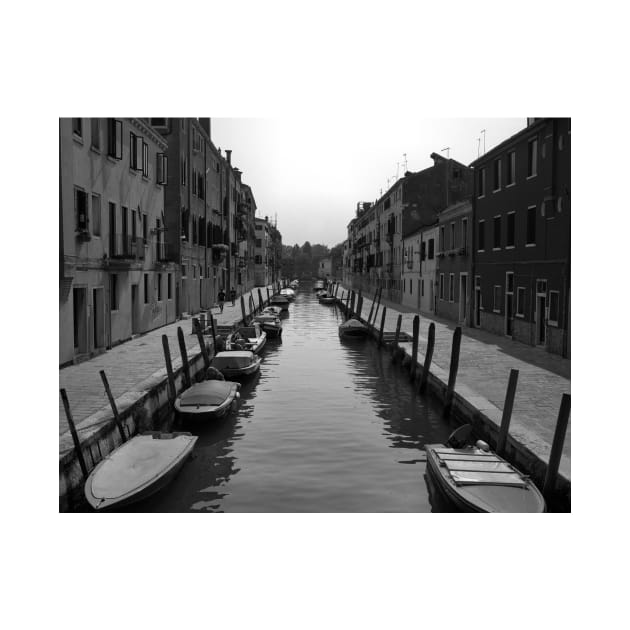 Typical "Street" in Venice by rodneyj46