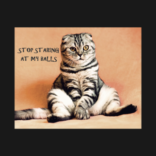 Cat Funny Quote