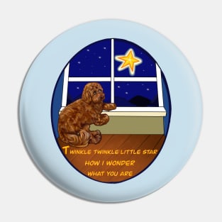 Nursery rhyme twinkle twinkle little star  Cavapoo puppy dog  - cavalier King Charles spaniel poodle Pin