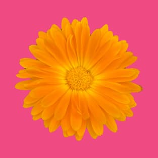 Sunny orange gerbera T-Shirt