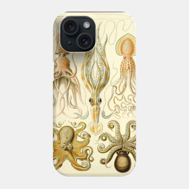 Squid and Octopus Gamochonia by Ernst Haeckel Phone Case by MasterpieceCafe