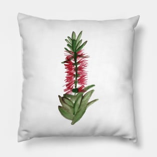 Watercolour Australian Native Bottlebrush Flower Pillow