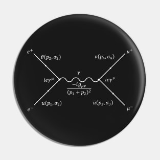 Feynman Diagram Pin