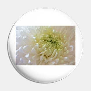 Full Frame Chrysanthemum Pin