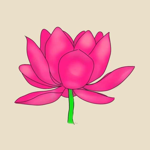 Pink Lotus Blossom by Dandy Doodles