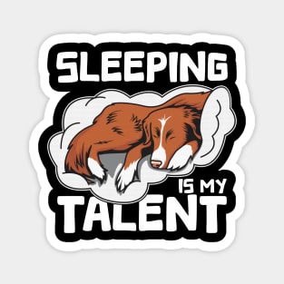 Funny Toller Nova Scotia Duck Tolling Retriever Sleeping Is My talent Magnet