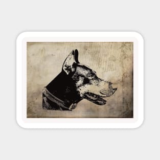 Dobermann Pinscher Magnet