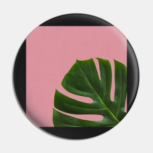 Monstera Leaf on Pink Background- Tropical Plant Vibe Pin