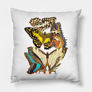 Butterflies Watercolor #6 Pillow