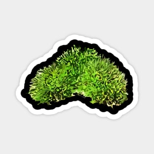 Moss (Bryopsida) Magnet