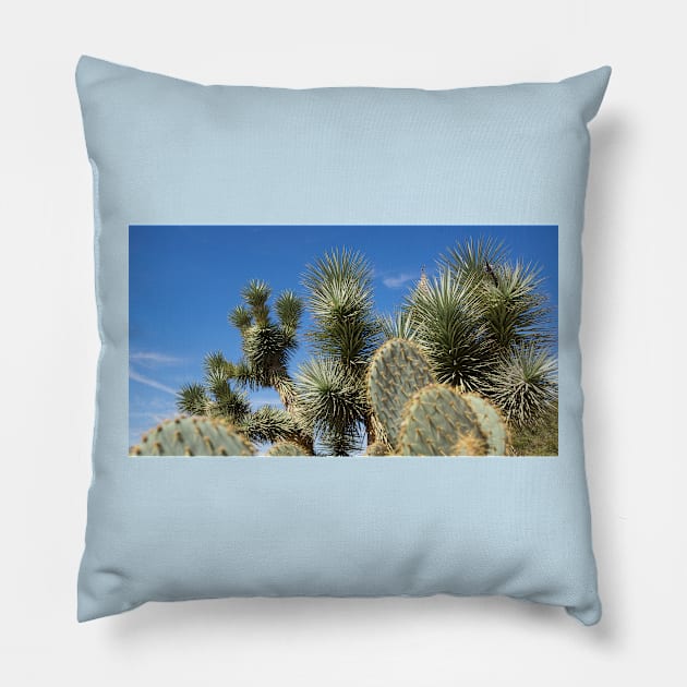 cactus Pillow by sma1050