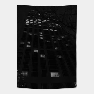Night Photograph Tapestry