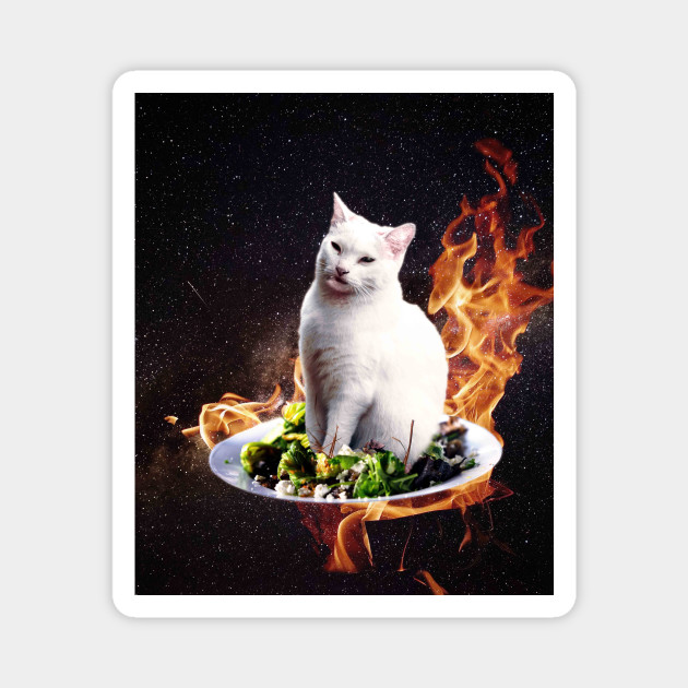 Confused Space Cat Woman Yelling At Cat Meme Meme Magnet