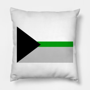 Demiromantic Pride Flag Pillow