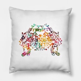 Nitric oxide synthase molecule Pillow